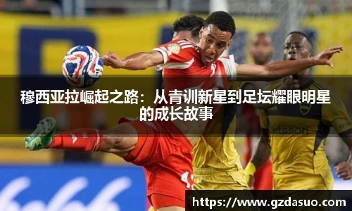 米兰体育网址